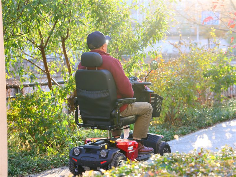 普拉德Pride Victory LX