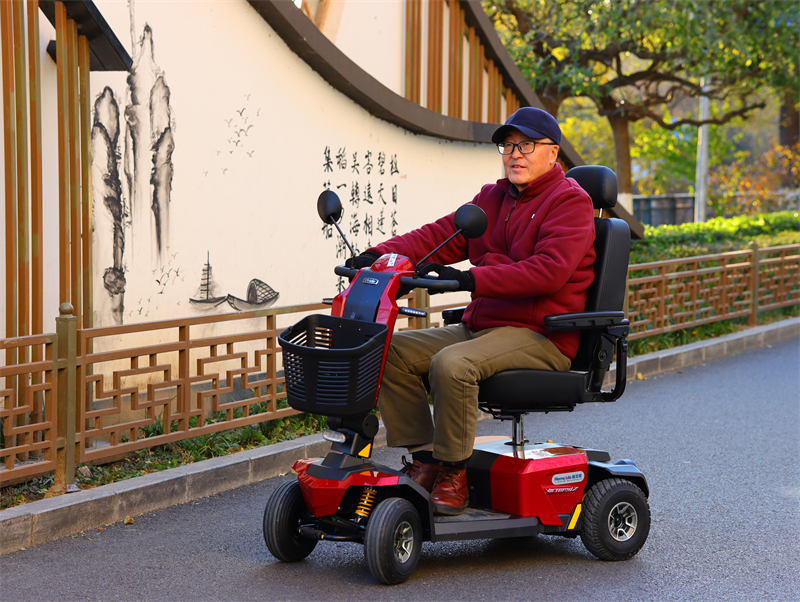 普拉德Pride Victory LX(10).jpg