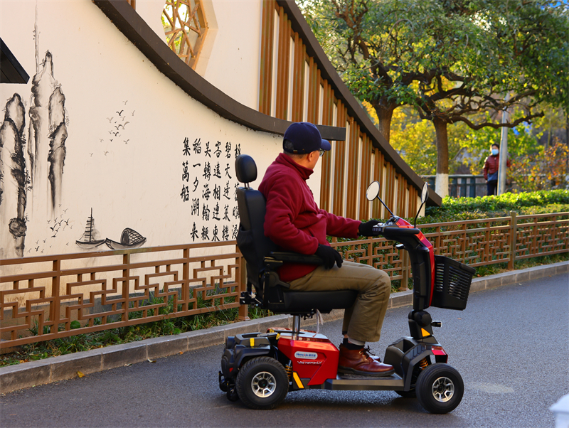 普拉德Pride Victory LX(7).jpg